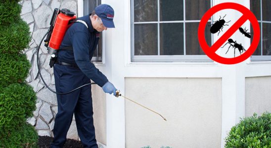 Kadıköy Karınca İlaçlama böcek ilaçlama ve haşere kontrolü — ilaclama-tr.com